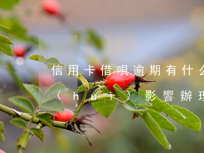 信用卡借唄逾期有什么影響(螞蟻借唄逾期會(huì)影響辦理信用卡嗎)
