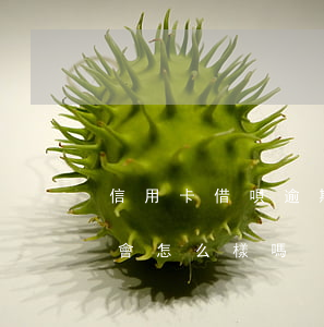 信用卡借唄逾期還了會怎樣(支付借唄逾期了會怎么樣嗎)