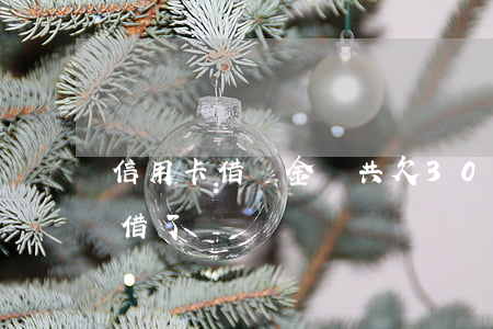 信用卡借唄金條共欠30萬(借唄金條都不能借了)
