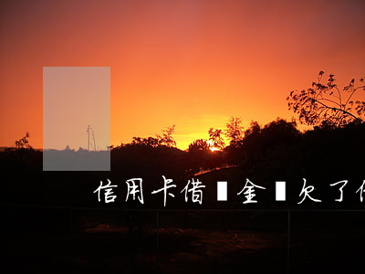 信用卡借唄金條欠了(借唄和金條都用不了)