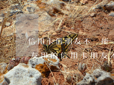信用卡借朋友不還能報(bào)警嗎(借朋友用的信用卡朋友不還了怎么辦)