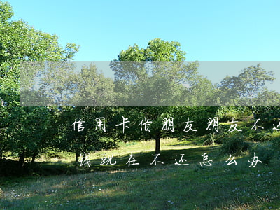 信用卡借朋友朋友不还钱(朋友借的信用卡的钱 现在不还怎么办)