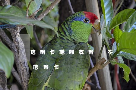 信用卡借朋友用錢不還(該不該借錢給朋友還信用卡)