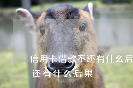 信用卡借款不还有什么后果(借银行信用卡不还有什么后果)