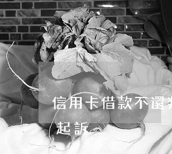 信用卡借款不還判幾年(信用卡幾年不還會被起訴)