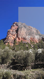 信用卡借款不還和夫妻有關(guān)(丈夫借信用卡不還對(duì)妻子有影響嗎)