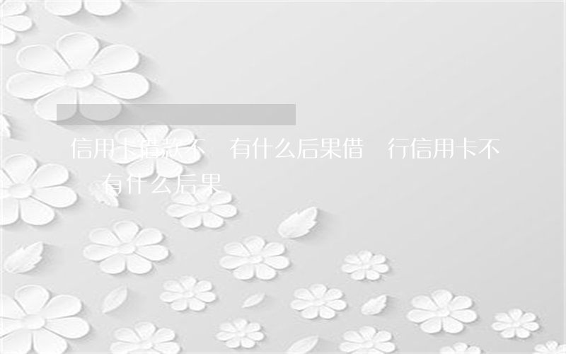 信用卡借款不還有什么后果(借銀行信用卡不還有什么后果)