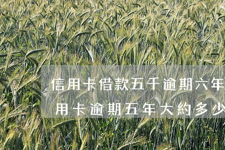 信用卡借款五千逾期六年還多少-兩千的信用卡逾期五年大約多少利息