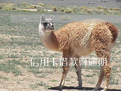 信用卡借款算逾期嗎