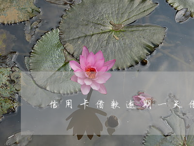 信用卡借款逾期一天(借記卡逾期一天)