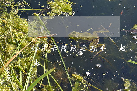 信用卡借款逾期不還起訴狀(欠信用卡不還被起訴)