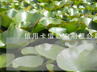 信用卡借款逾期整合(最新的信用卡逾期處理)