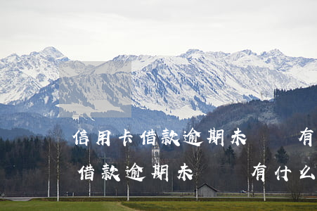 信用卡借款逾期未還會有什么后果嗎（信用卡借款逾期未還會有什么后果）