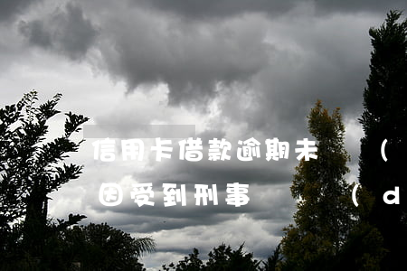 信用卡借款逾期未還構(gòu)成犯罪嗎(因受到刑事處罰導(dǎo)致信用卡逾期)