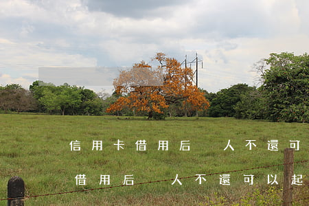 信用卡借用后別人不還可以起訴嘛-信用卡借用后別人不還可以起訴嘛怎么辦