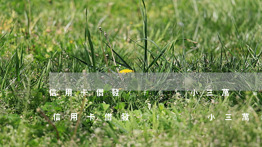 信用卡借發(fā)小三萬(wàn)不還(信用卡借發(fā)小三萬(wàn)不還)