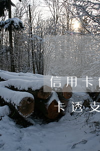 信用卡借給他人透支詐騙罪(借用別人的信用卡透支不還構(gòu)成詐騙案嗎)