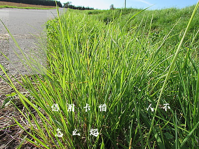 信用卡借給別人不還訴訟(借別人信用卡不還怎么起訴)