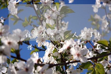 信用卡借給別人刷了怎樣取證起訴-信用卡借給別人刷了怎樣取證起訴對方