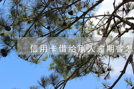 信用卡借給別人逾期會怎樣