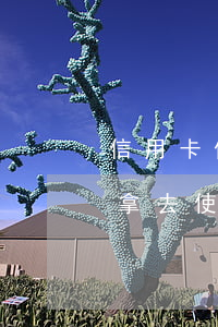 信用卡借給別人逾期記錄(別人把我的信用卡拿去使用之后逾期我可以告他嗎)