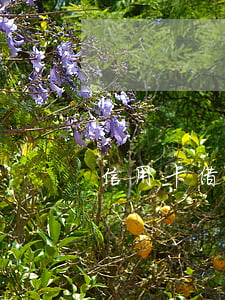 信用卡借給同學6萬不還