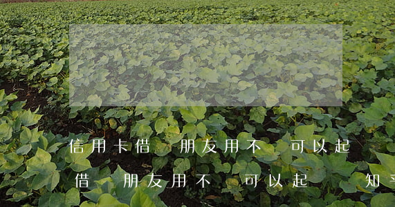 信用卡借給朋友用不還可以起訴嗎-信用卡借給朋友用不還可以起訴嗎知乎