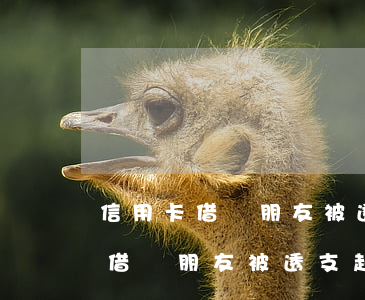 信用卡借給朋友被透支起訴有用嗎-信用卡借給朋友被透支起訴有用嗎知乎