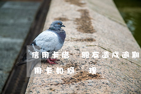 信用卡借給朋友造成逾期怎么處理(朋友借信用卡如何處理)