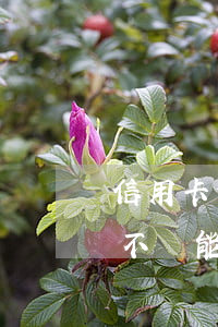 信用卡借給朋友逾期不還起訴 朋友借信用卡不還能不能起訴