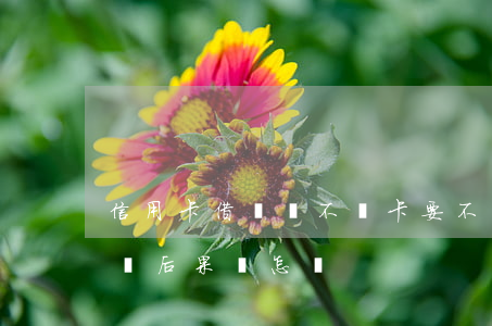 信用卡借給錢不還卡要不回(在信用卡借錢不還后果會怎樣)
