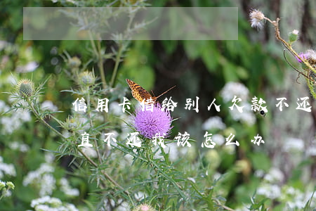 信用卡借给别人欠款不还(信用卡别人借用一直不还我该怎么办)