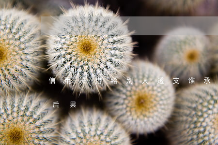 信用卡借给别人透支谁承担(透支卡借给别人后果)