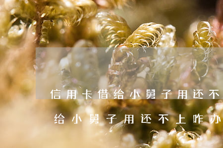 信用卡借给小舅子用还不上咋办-信用卡借给小舅子用还不上咋办呢