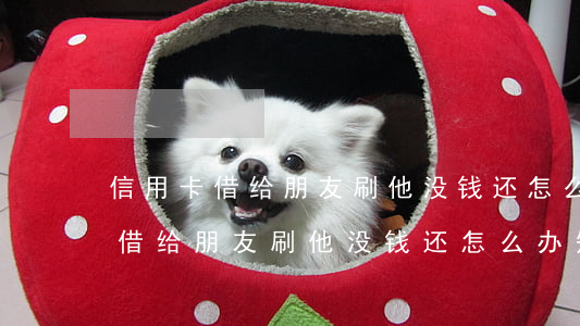 信用卡借给朋友刷他没钱还怎么办-信用卡借给朋友刷他没钱还怎么办知乎