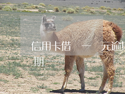信用卡借貸一萬元逾期(信用卡借貸一萬元逾期)