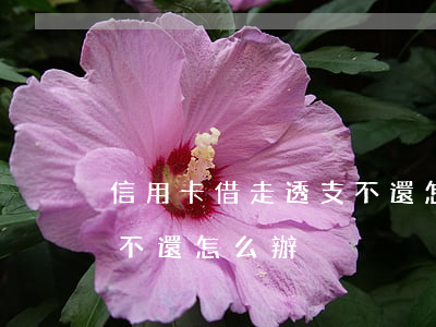 信用卡借走透支不還怎么辦(信用卡借走透支不還怎么辦)