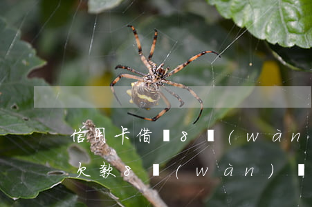 信用卡借錢8萬(wàn)不還后果(信用卡欠款8萬(wàn)還不起了怎么辦)