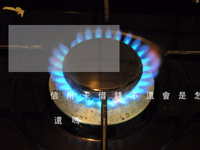 信用卡借錢不還會是怎樣(信用卡不借錢也要還嗎)
