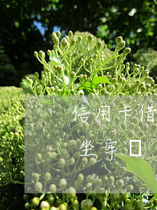 信用卡借錢不還要坐牢嗎(信用卡錢還不上會坐牢嗎?)