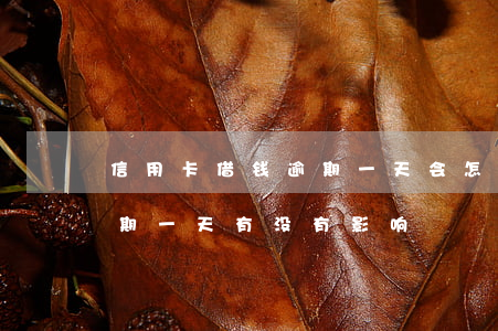 信用卡借钱逾期一天会怎么样(银行信用卡 逾期一天有没有影响?)