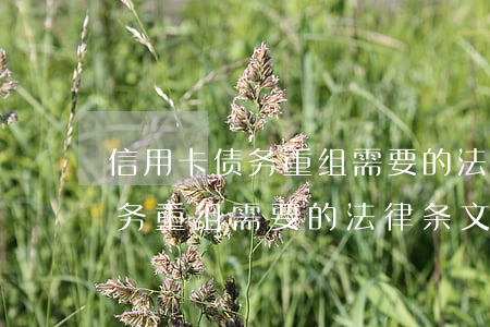 信用卡债务重组需要的法律条文-信用卡债务重组需要的法律条文有哪些