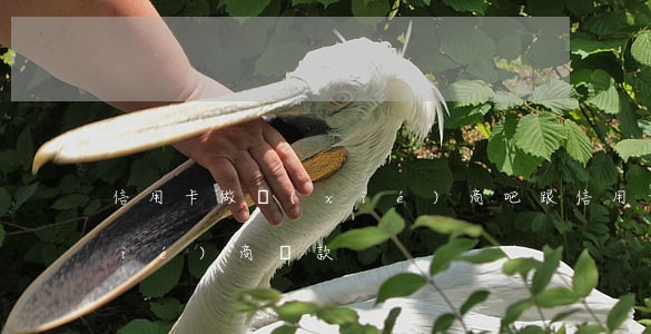 信用卡做協(xié)商吧 跟信用卡協(xié)商還款