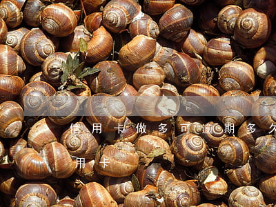 信用卡做多可逾期多久(有逾期多久可以辦信用卡)
