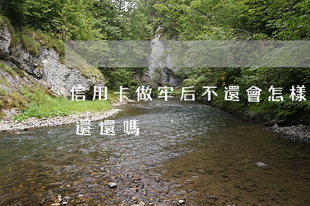 信用卡做牢后不還會怎樣(信用卡做了牢出來還還嗎)