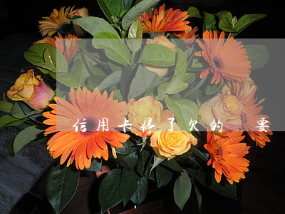 信用卡停了欠的錢要還(停了的信用卡還能用嗎)