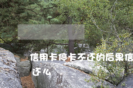 信用卡停卡不还的后果(信用卡可以停卡慢慢还么)