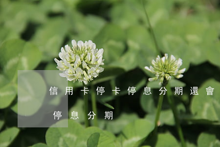 信用卡?？ㄍＯ⒎制谶€會上征信嗎-信用卡 停息分期