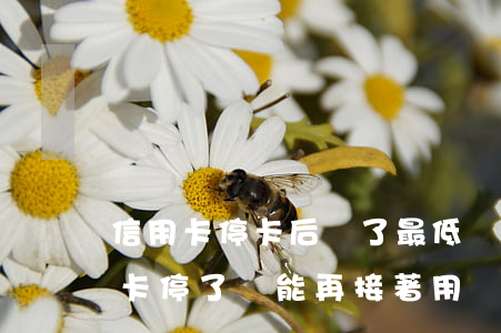 信用卡?？ê筮€了最低還可以刷嗎-把信用卡停了還能再接著用嗎