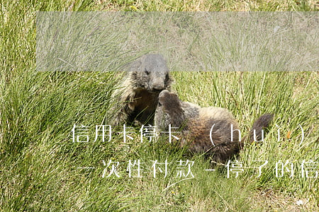 信用卡停卡會(huì)不會(huì)要一次性付款-停了的信用卡可以重新開通